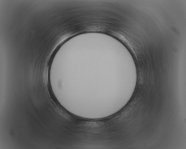 X0000116331227200912291546