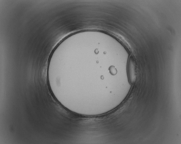 X0000116331228200912291546