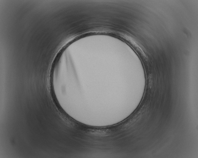 X0000116331229200912291546