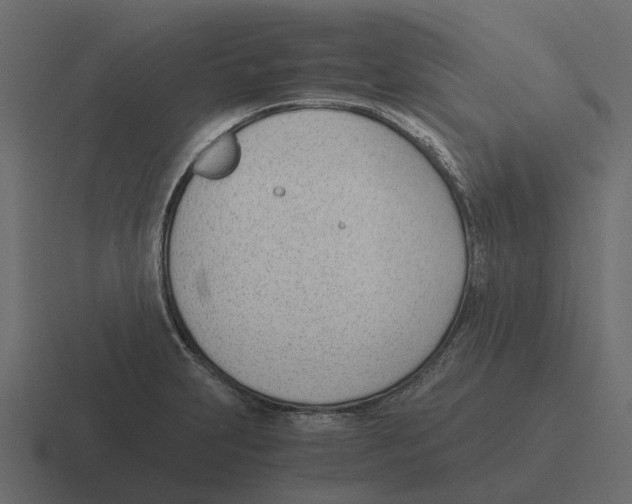 X0000116331231200912291546