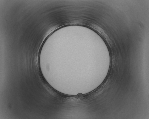 X0000116331234200912291546