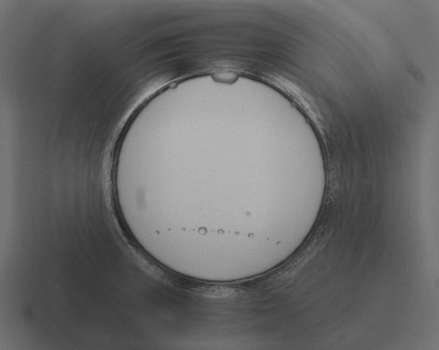 X0000116331235200912291546