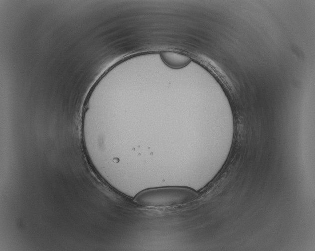 X0000116331236200912291546