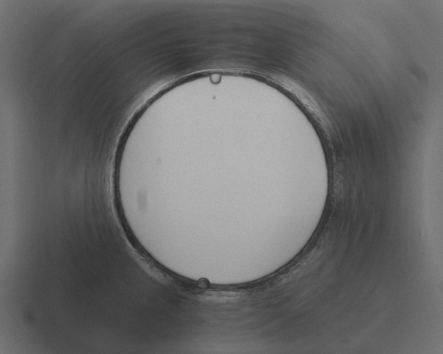 X0000116331237200912291546