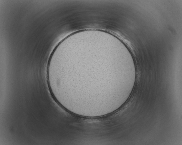 X0000116331239200912291546