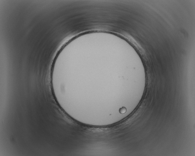 X0000116331240200912291546