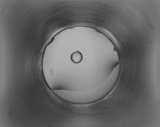 X0000116331244200912291546