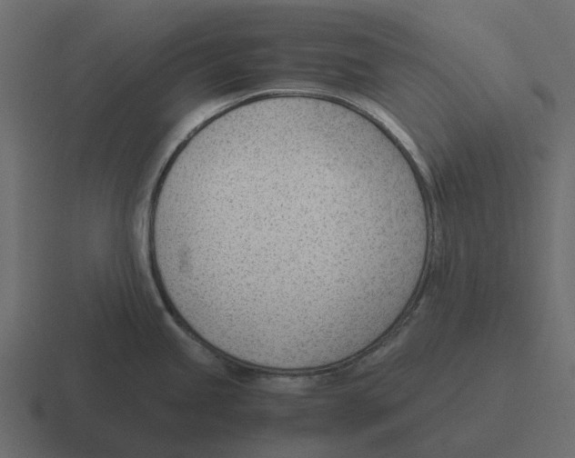 X0000116331245200912291546