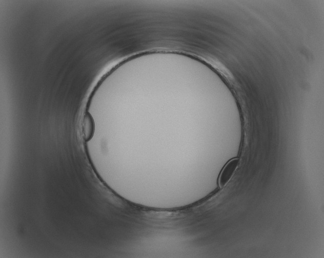 X0000116331248200912291546