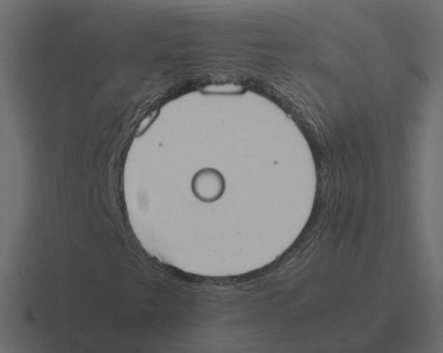 X0000116331249200912291546