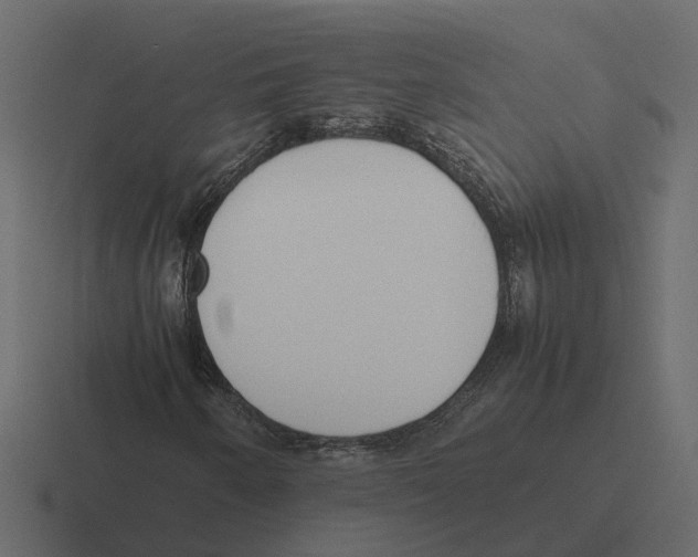 X0000116331250200912291546