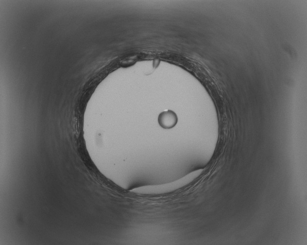 X0000116331253200912291546