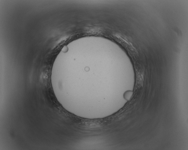 X0000116331254200912291546