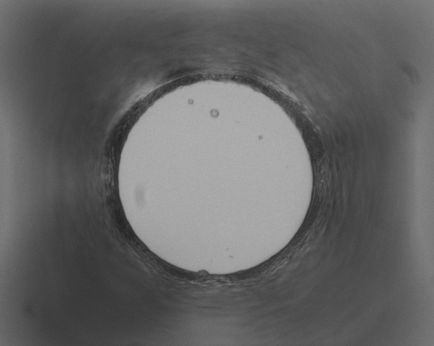 X0000116331255200912291546