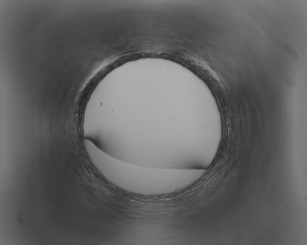 X0000116331256200912291546