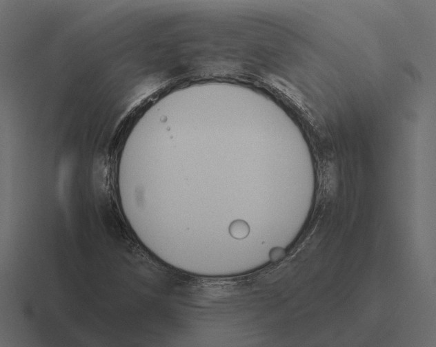 X0000116331258200912291546