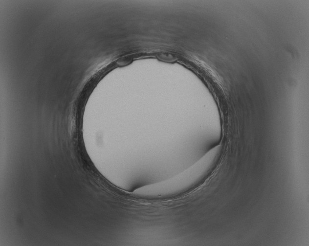 X0000116331261200912291546