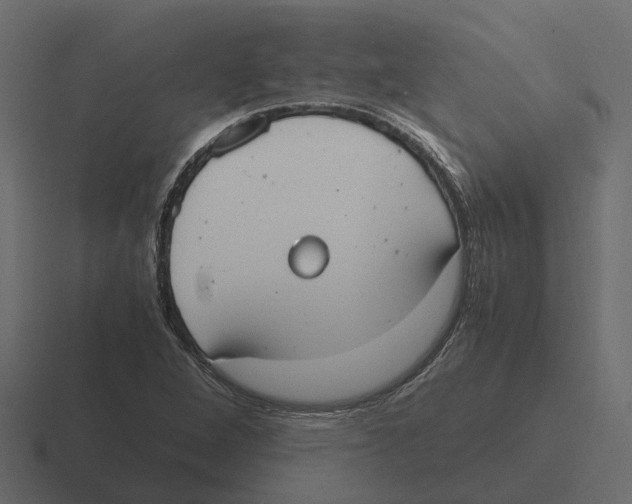 X0000116331264200912291546