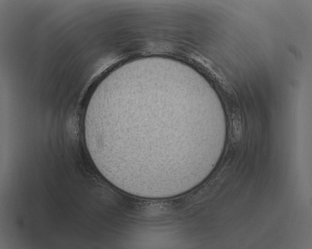 X0000116331266200912291546