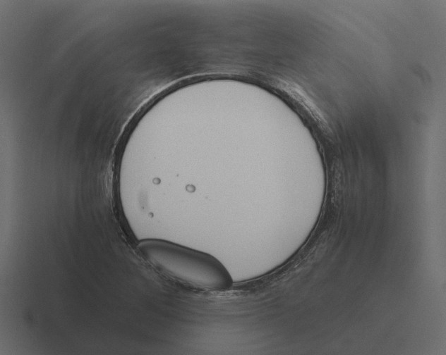 X0000116331268200912291546