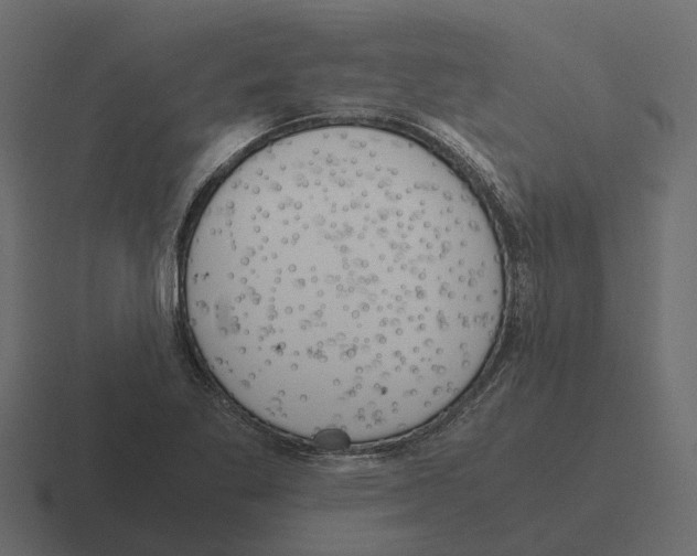 X0000116331269200912291546