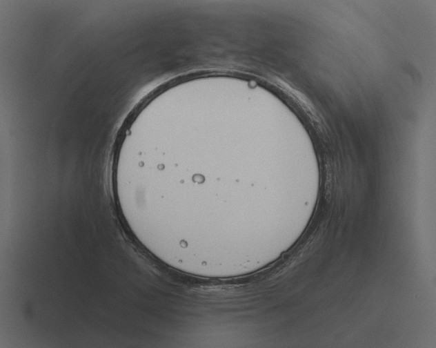 X0000116331272200912291546