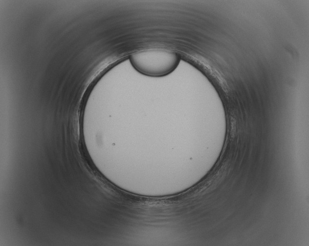 X0000116331274200912291546