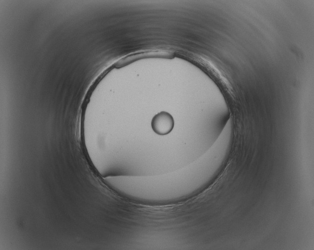 X0000116331276200912291546