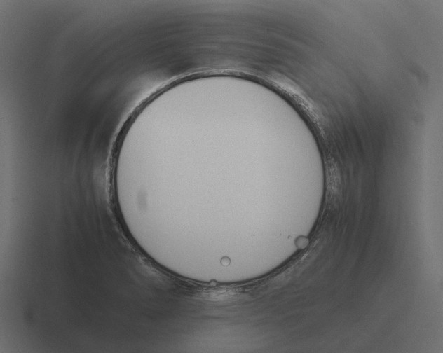 X0000116331278200912291545