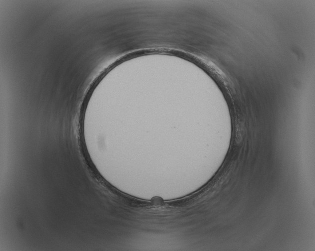 X0000116331279200912291545