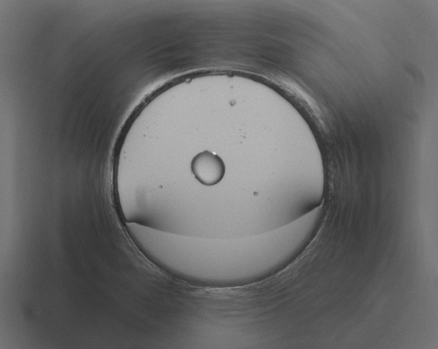 X0000116331280200912291545