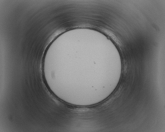 X0000116331282200912291545