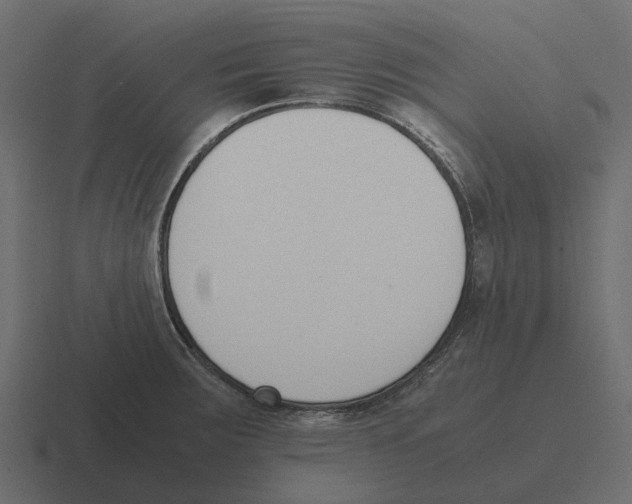 X0000116331283200912291545