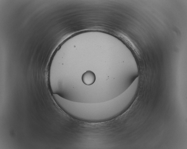 X0000116331284200912291545