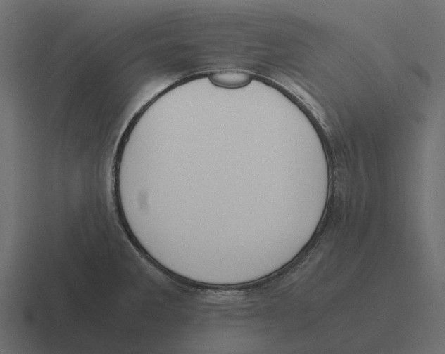 X0000116331285200912291545