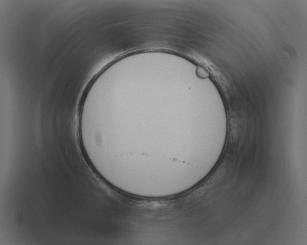 X0000116331286200912291545