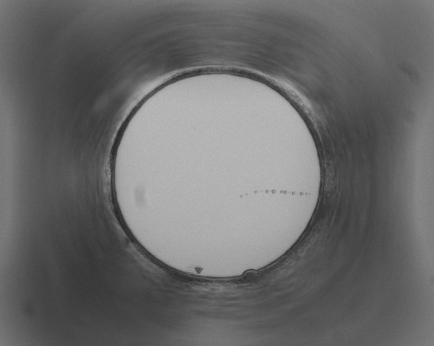 X0000116331287200912291545