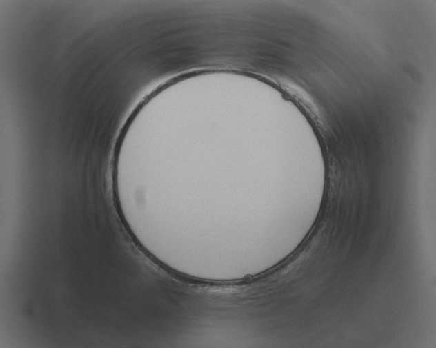 X0000116331288200912291545