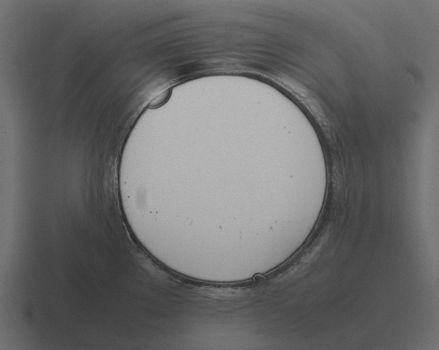 X0000116331289200912291545