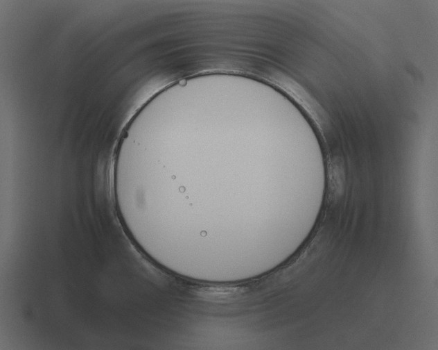 X0000116331290200912291545