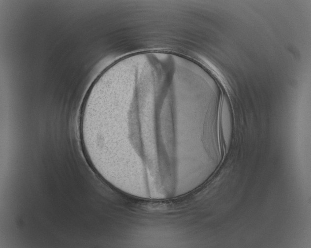 X0000116331291200912291545