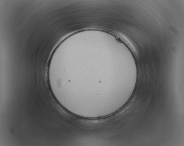 X0000116331292200912291545