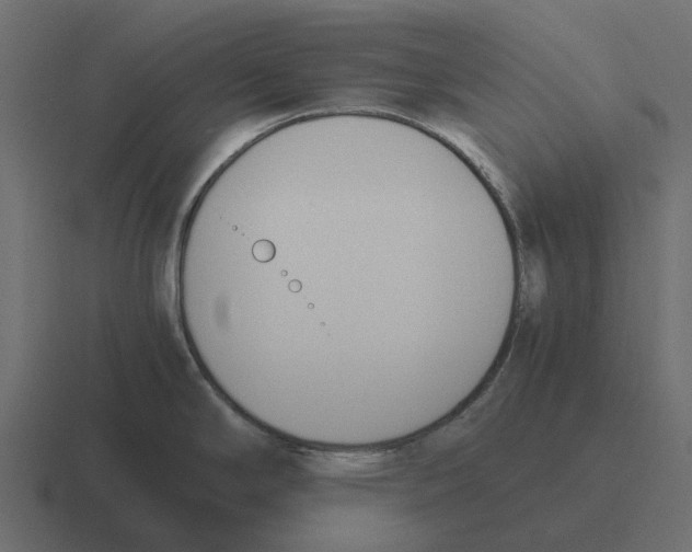 X0000116331294200912291545