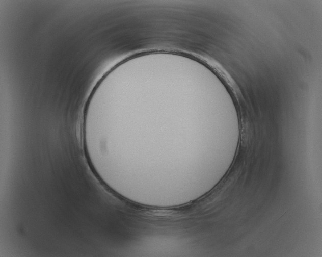 X0000116331295200912291545