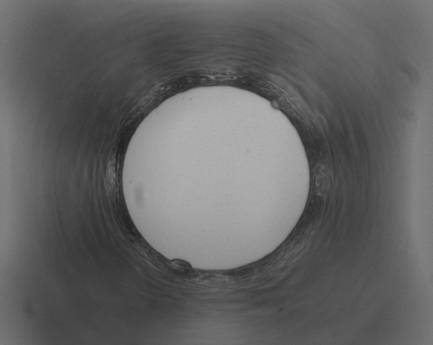 X0000116331298200912291545