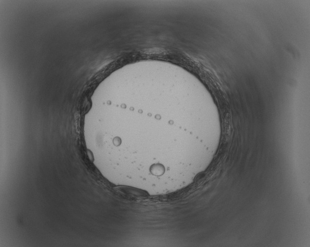 X0000116331301200912291545