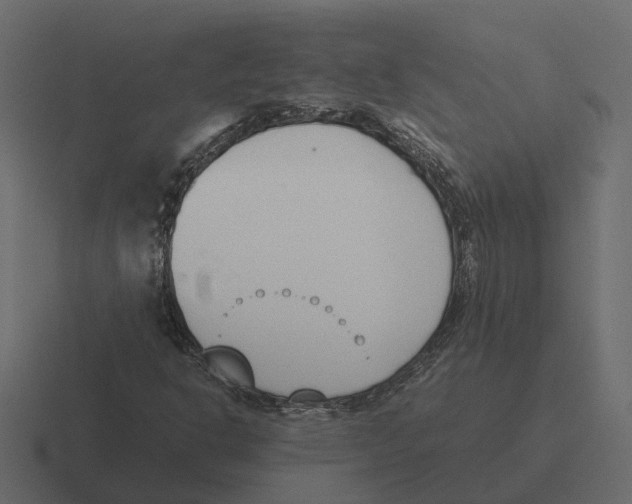 X0000116331302200912291545