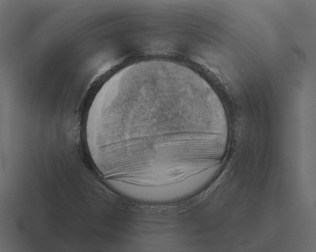 X0000116331306200912291545