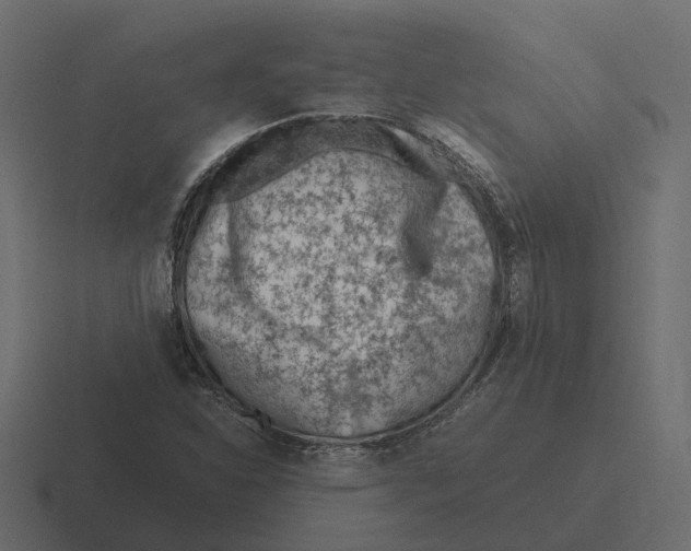 X0000116331310200912291545