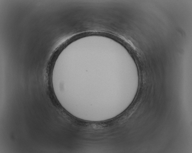 X0000116331311200912291545